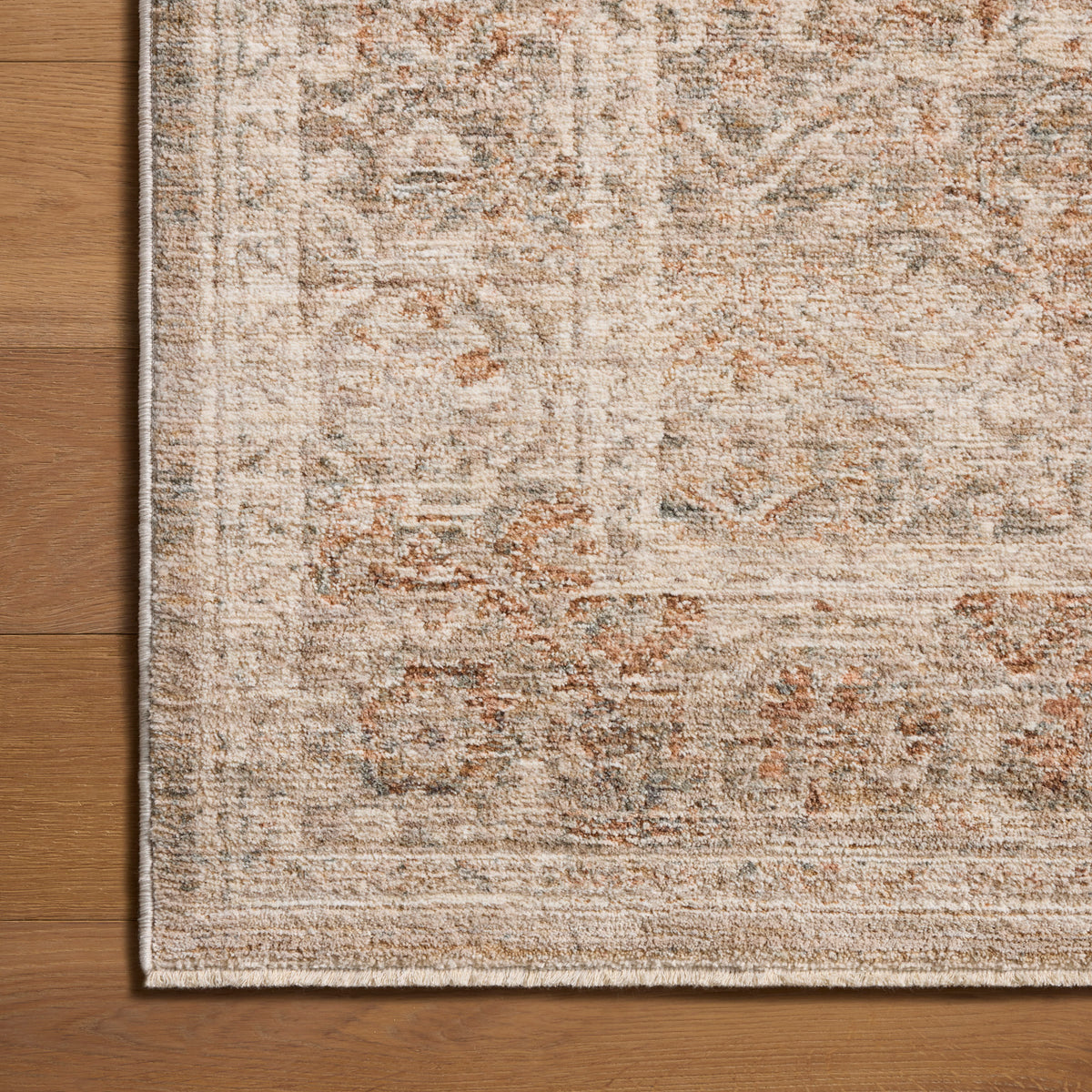 Chris Loves Julia x Loloi Doris Rug in Mist-Clay-5