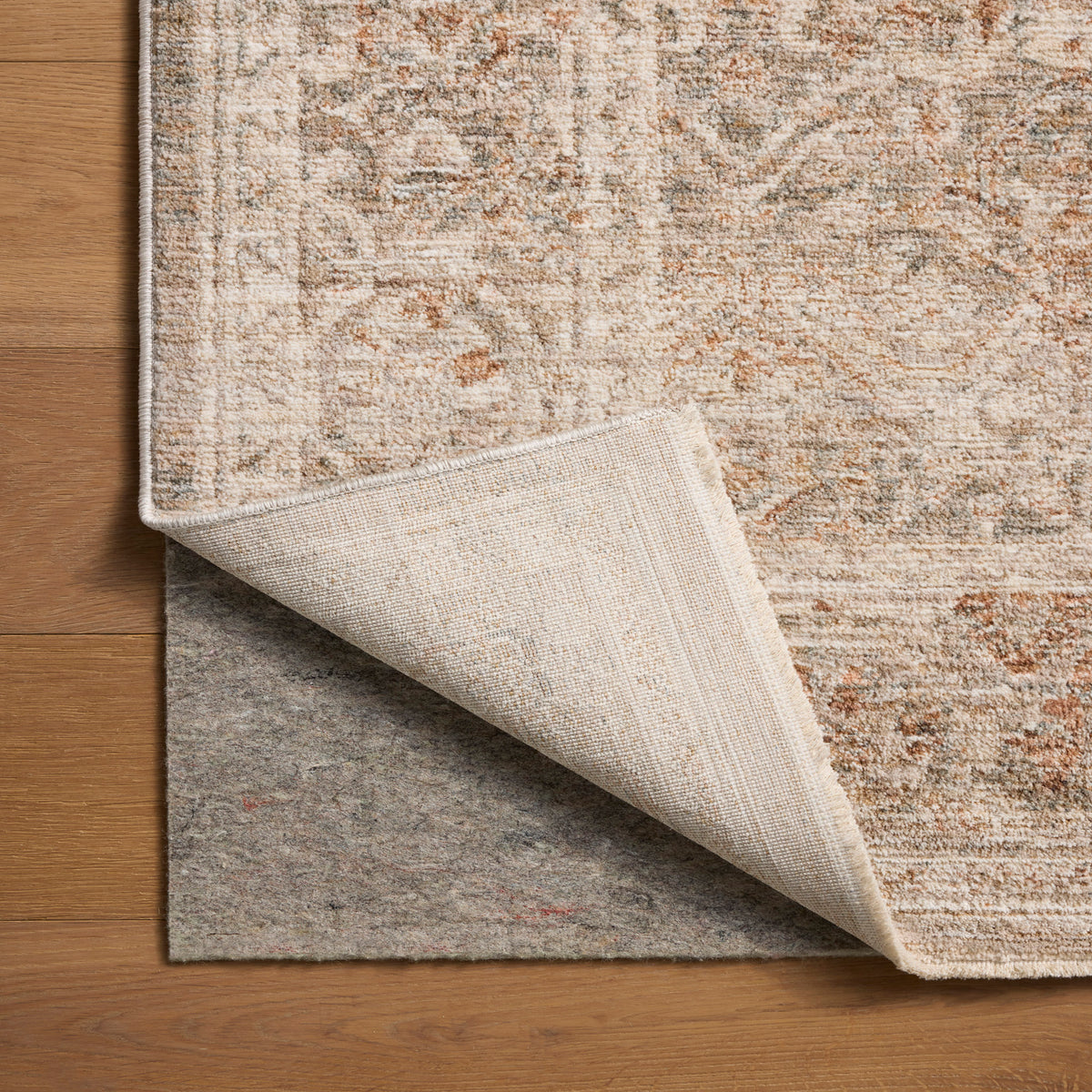 Chris Loves Julia x Loloi Doris Rug in Mist-Clay-6