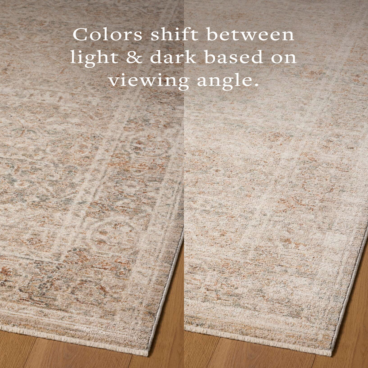 Chris Loves Julia x Loloi Doris Rug in Mist-Clay-7