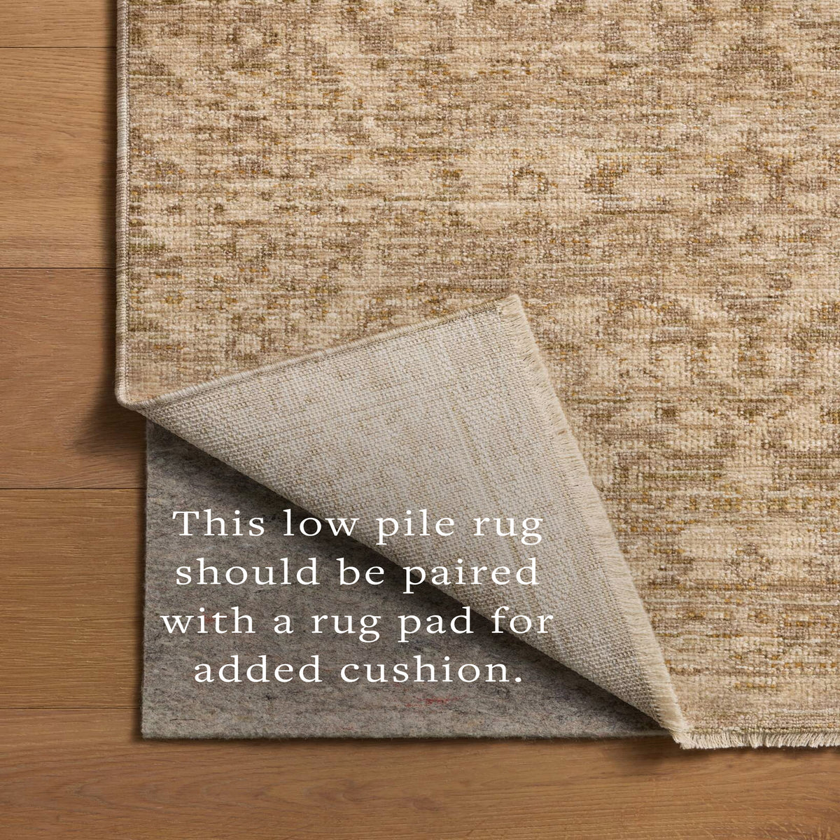 Chris Loves Julia x Loloi Miriam Rug in Olive-Khaki-7