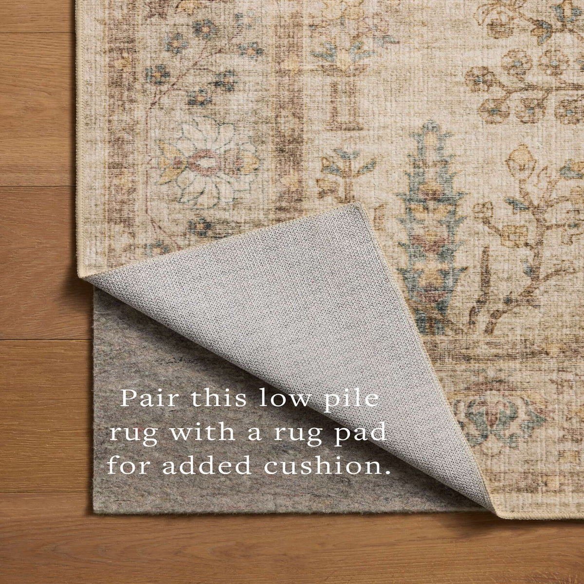 Chris Loves Julia x Loloi Ramona Rug in Ivory-Multi-6