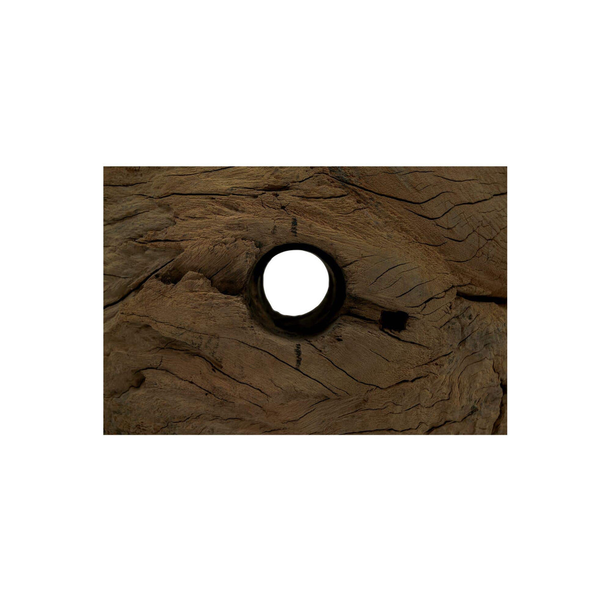 Maren Wood Sculpture-7