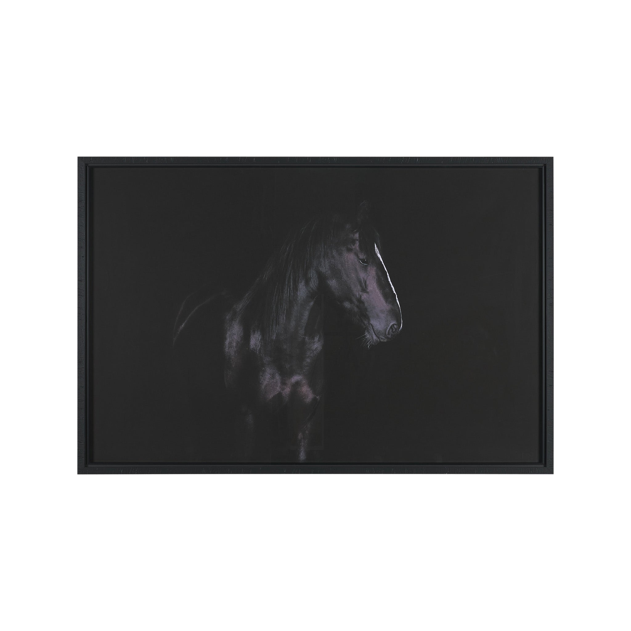 Majestic Midnight Framed Photo-1
