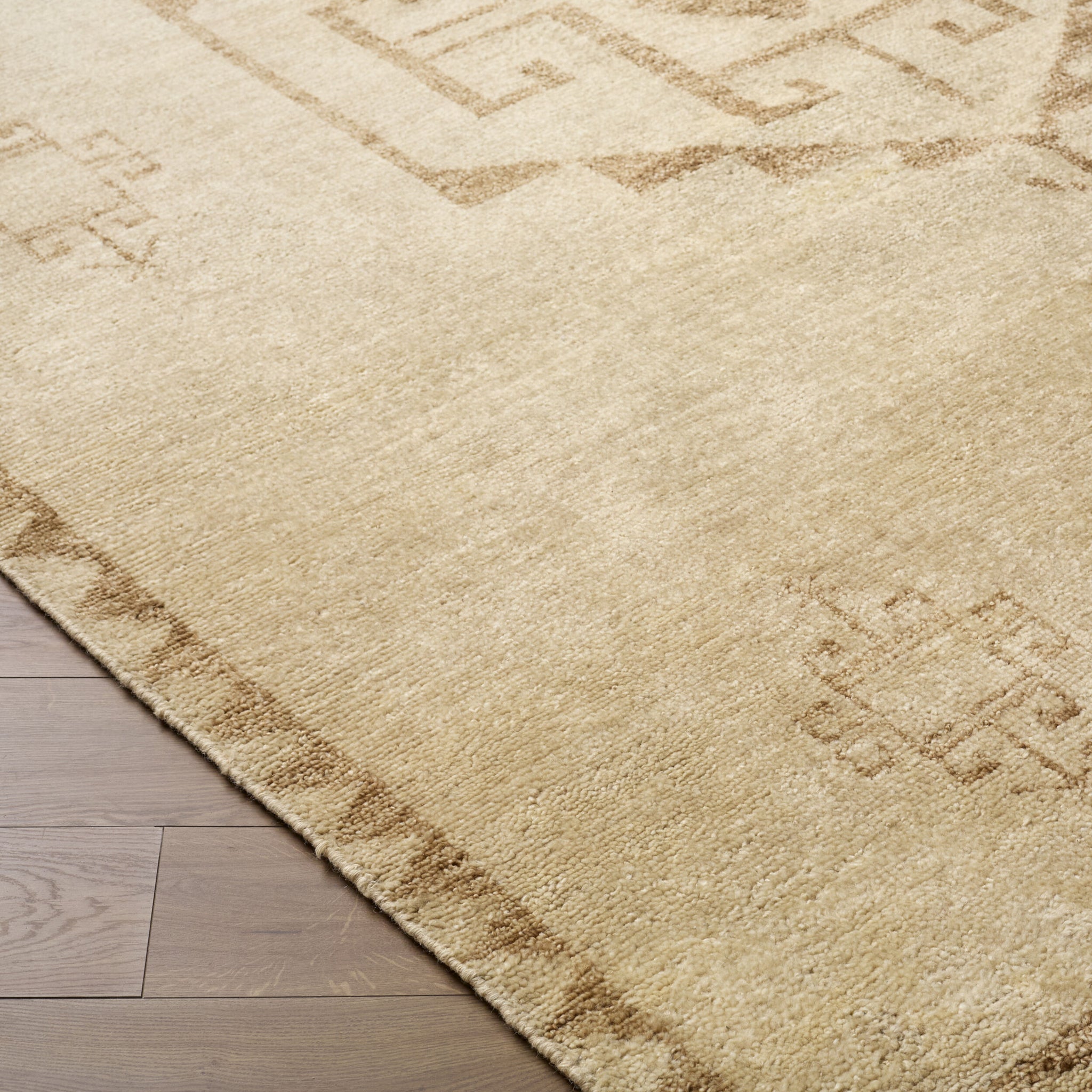 Alara Wool Rug in Beige-2
