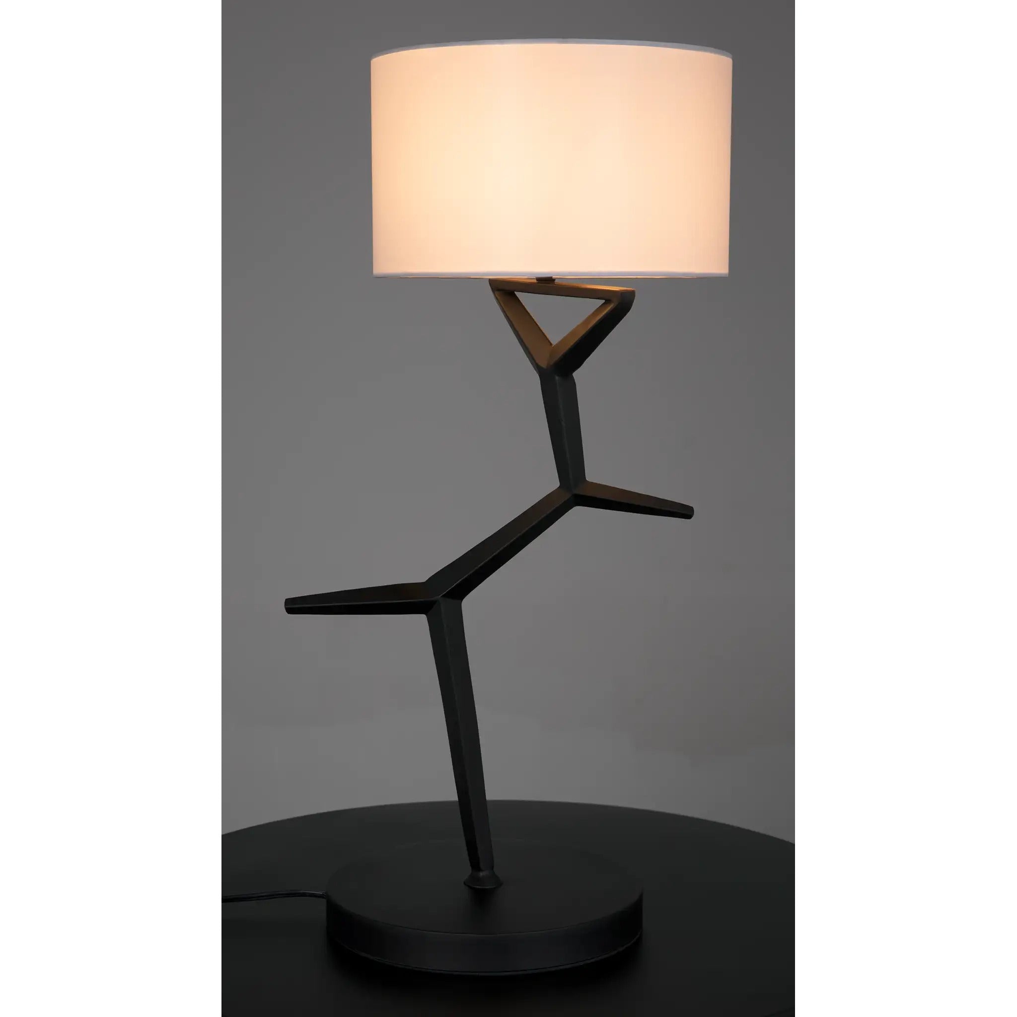 Arizona Lamp with Shade-5
