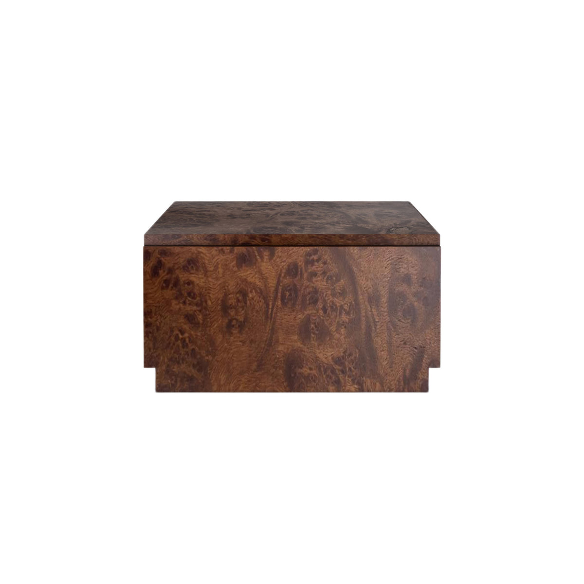 Wren Burl Coffee Table-3