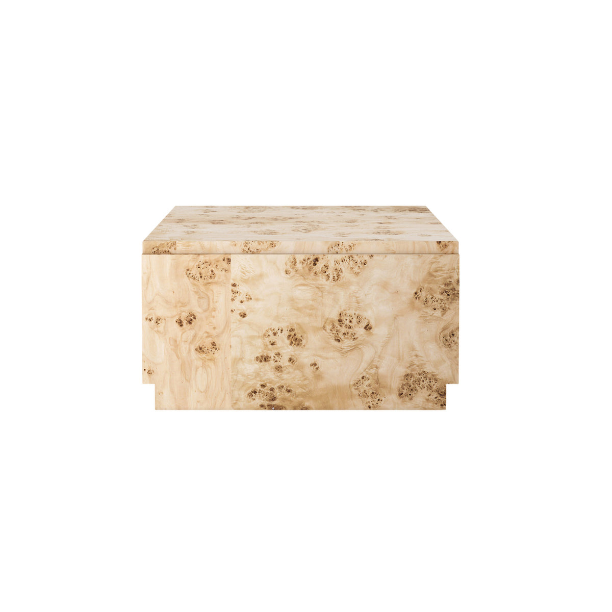 Wren Burl Coffee Table-7