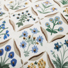 Rifle Paper Co. x Loloi Estee Pillow in White-Multi-4