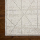 Roxie Rug in Ivory/Graphite-4