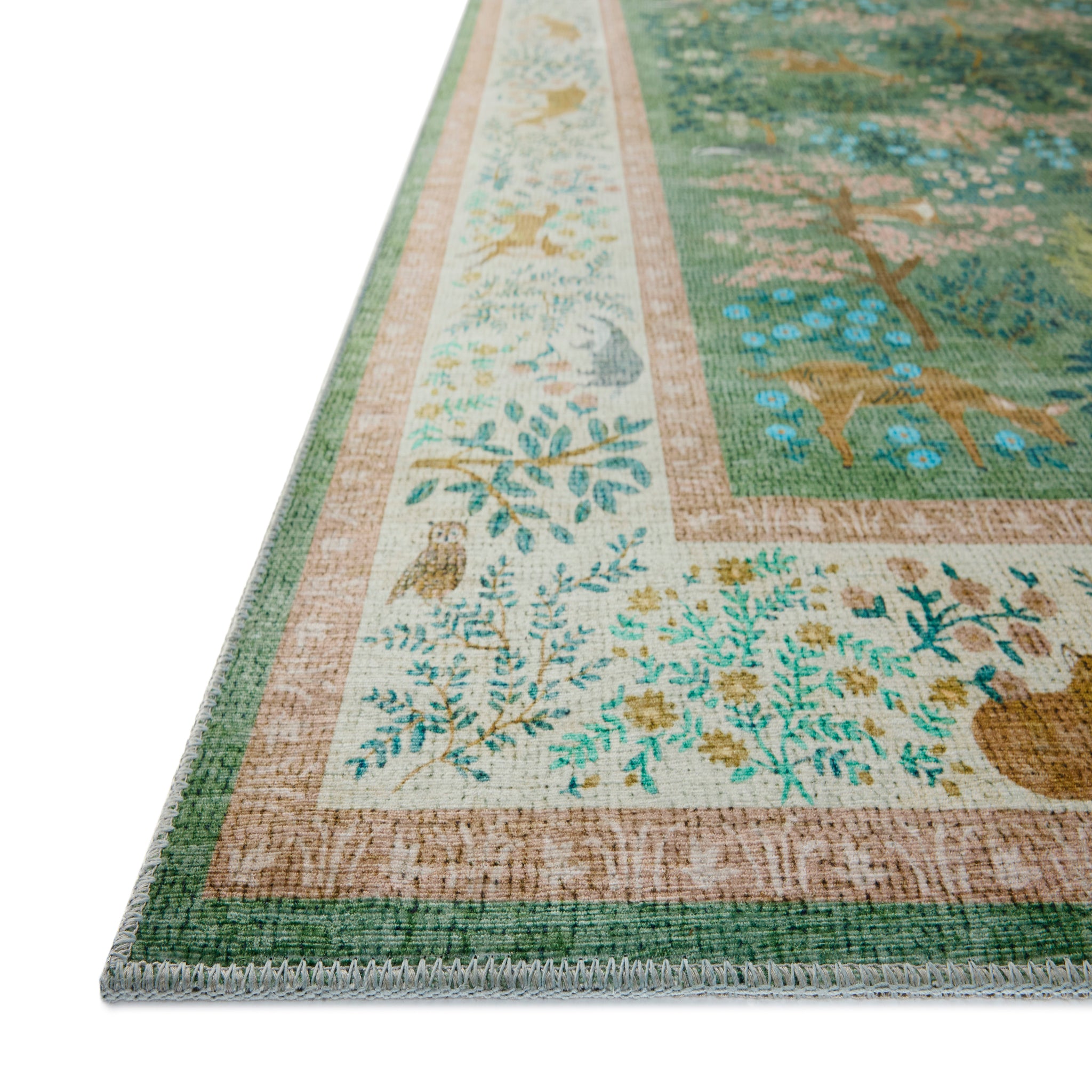 Rifle Paper Co. x Loloi Canopy Rug in Sage-Blush-2