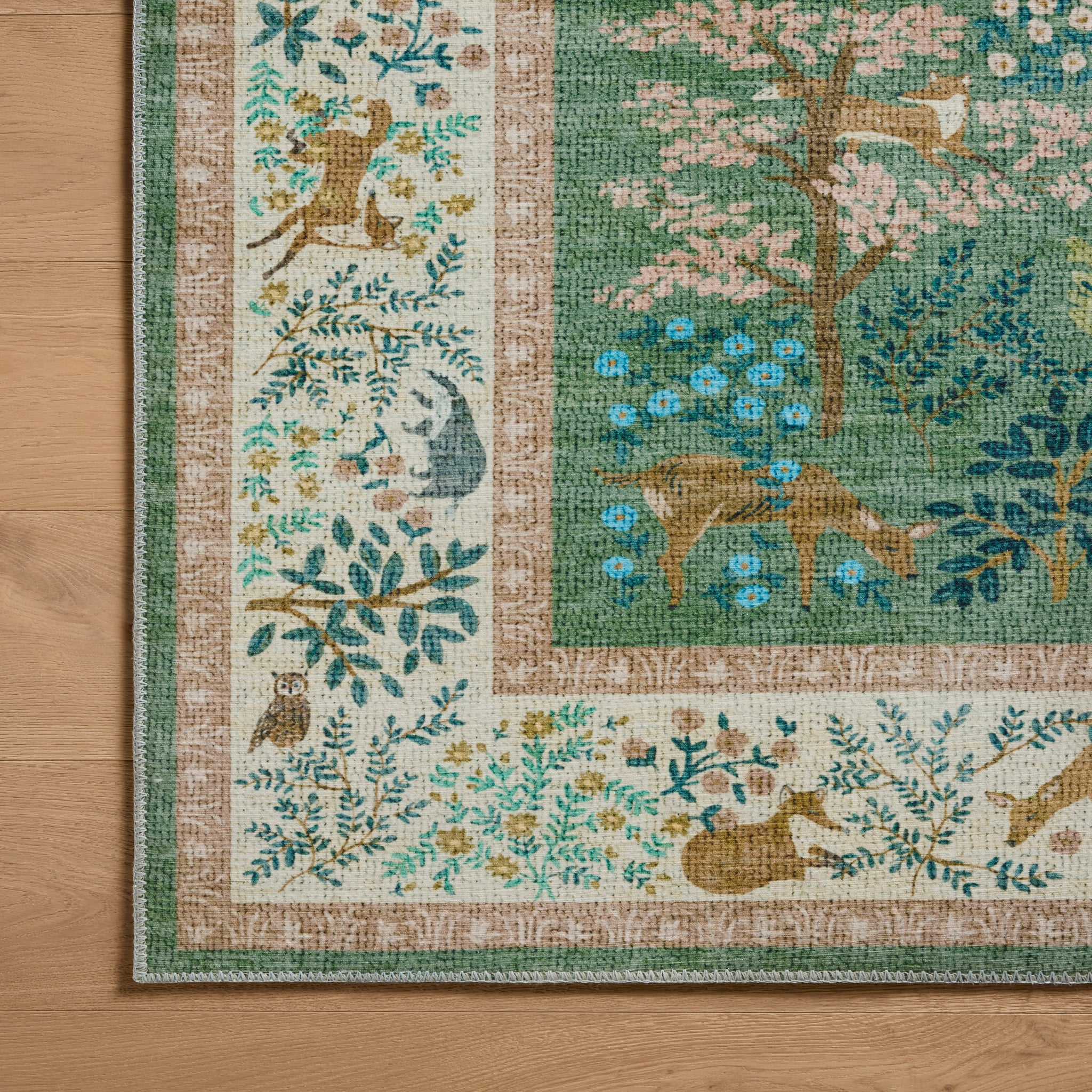 Rifle Paper Co. x Loloi Canopy Rug in Sage-Blush-4