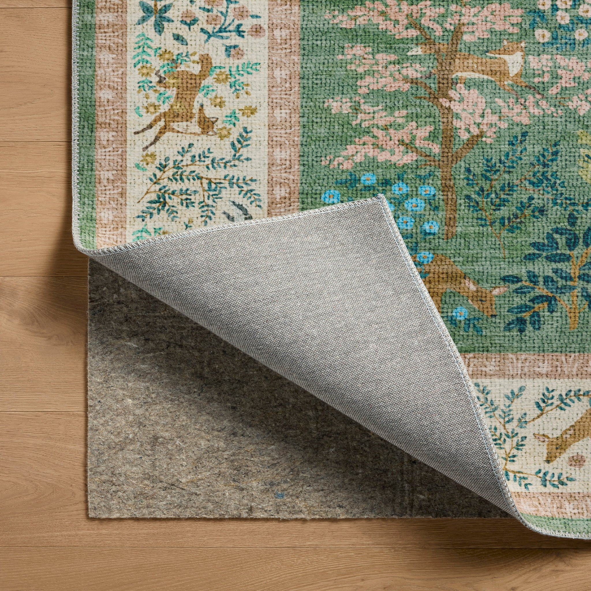 Rifle Paper Co. x Loloi Canopy Rug in Sage-Blush-5