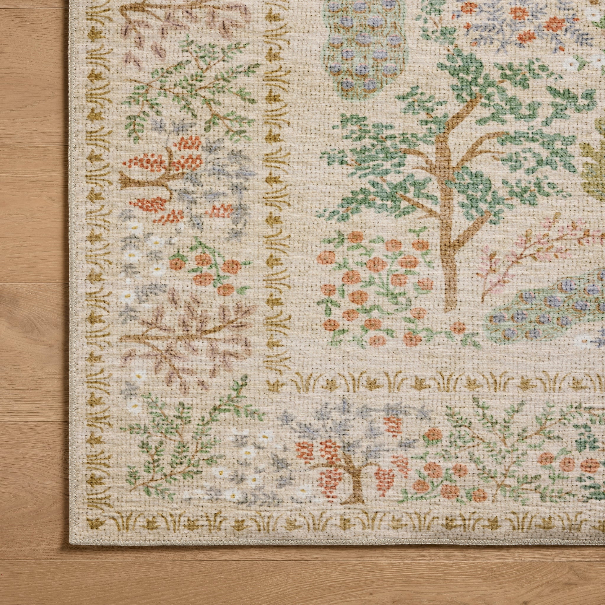 Rifle Paper Co. x Loloi Canopy Rug in Cream-4