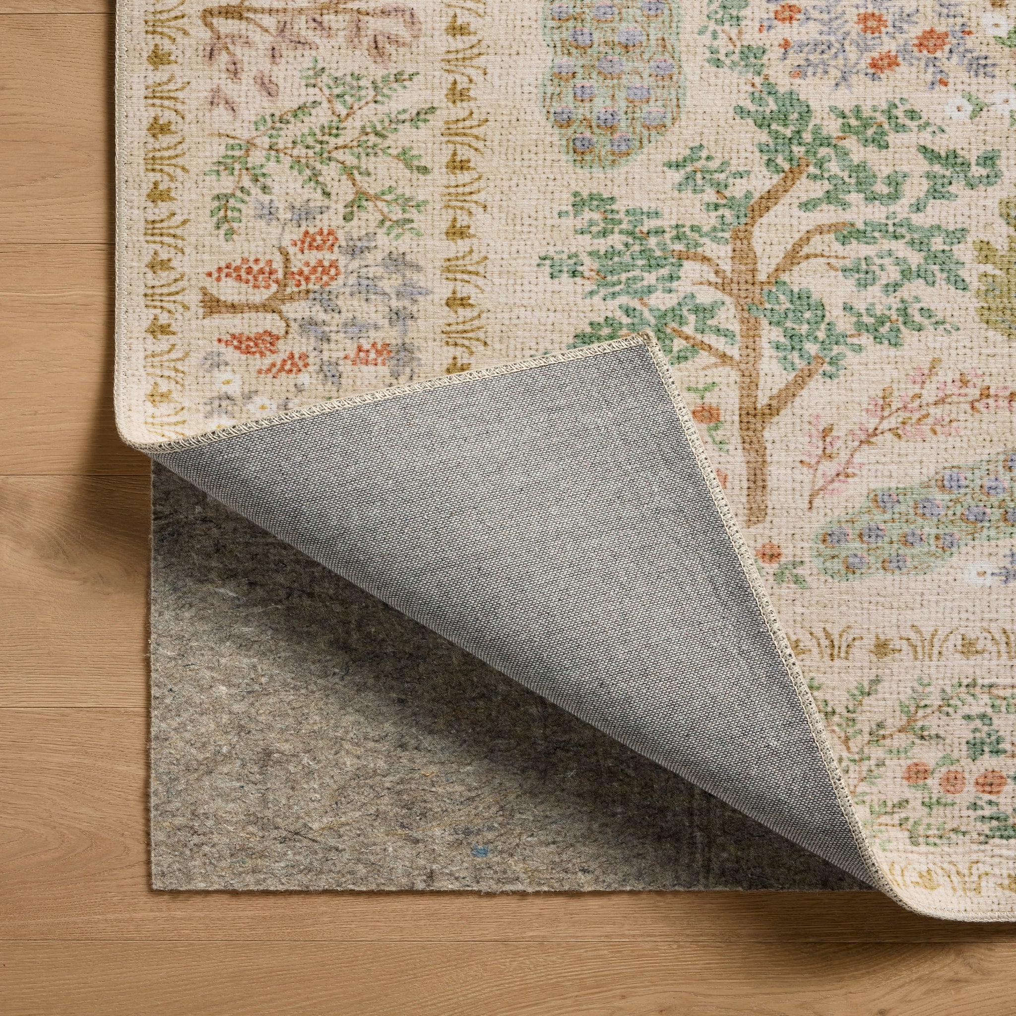 Rifle Paper Co. x Loloi Canopy Rug in Cream-5