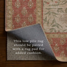 Rifle Paper Co. x Loloi Edinburgh Rug in Ivory-Spice-5