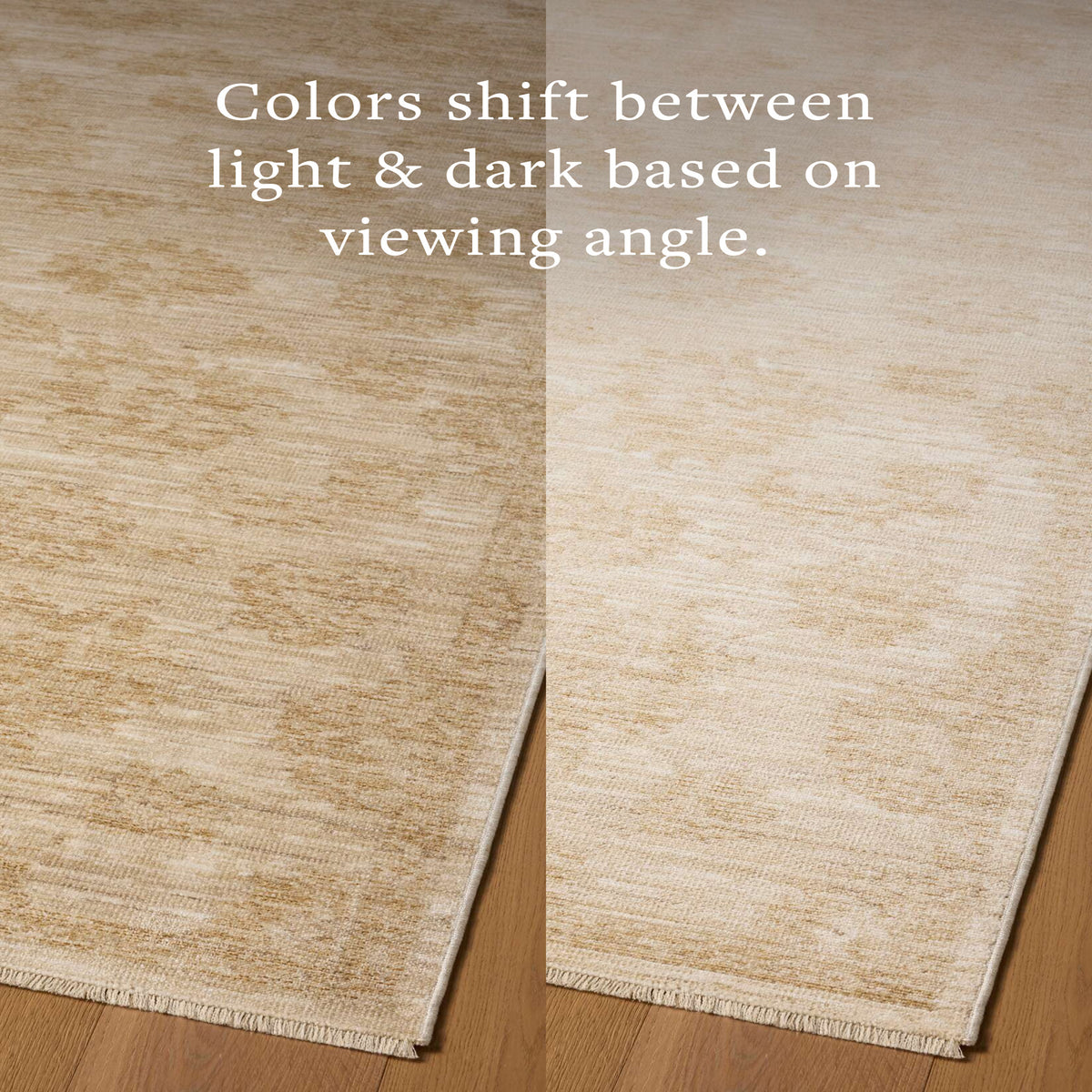Chris Loves Julia x Loloi Miriam Rug in Beige-Sand-6