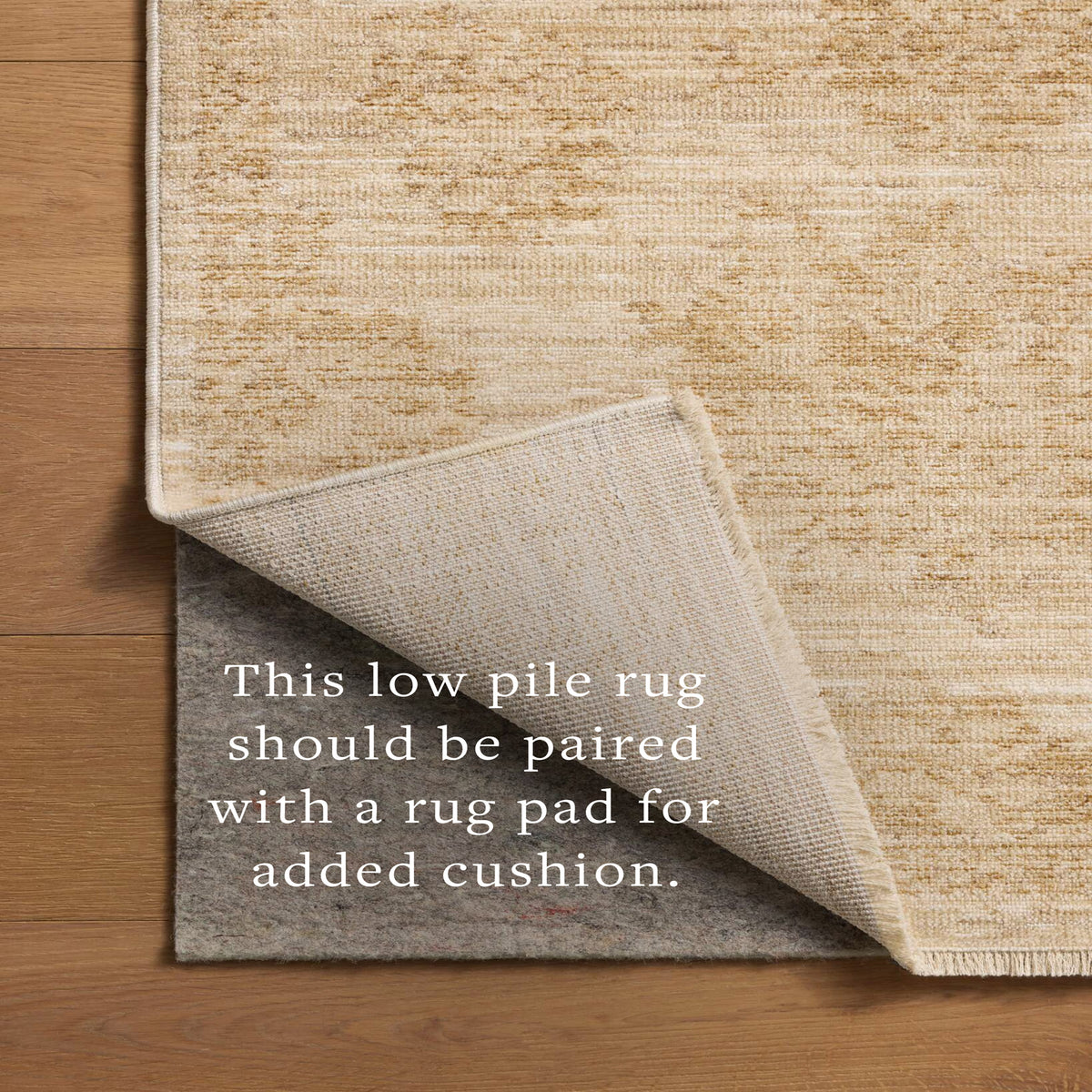 Chris Loves Julia x Loloi Miriam Rug in Beige-Sand-7