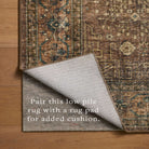 Chris Loves Julia x Loloi Ramona Rug in Spice-Multi-7