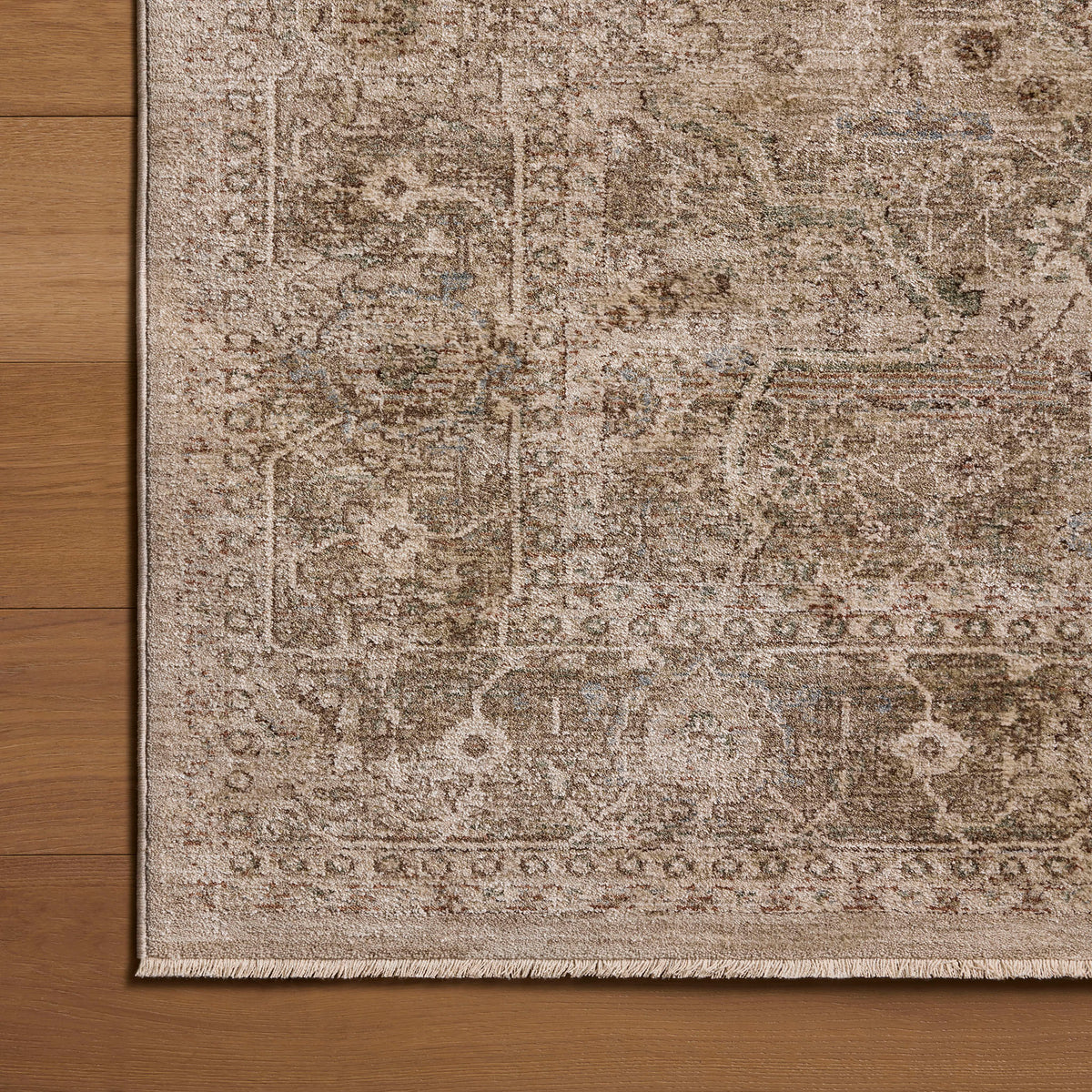 Amber Lewis x Loloi Ethel Rug in Sage/Natural-4