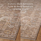 Amber Lewis x Loloi Nella Rug in Stone/Earth-6