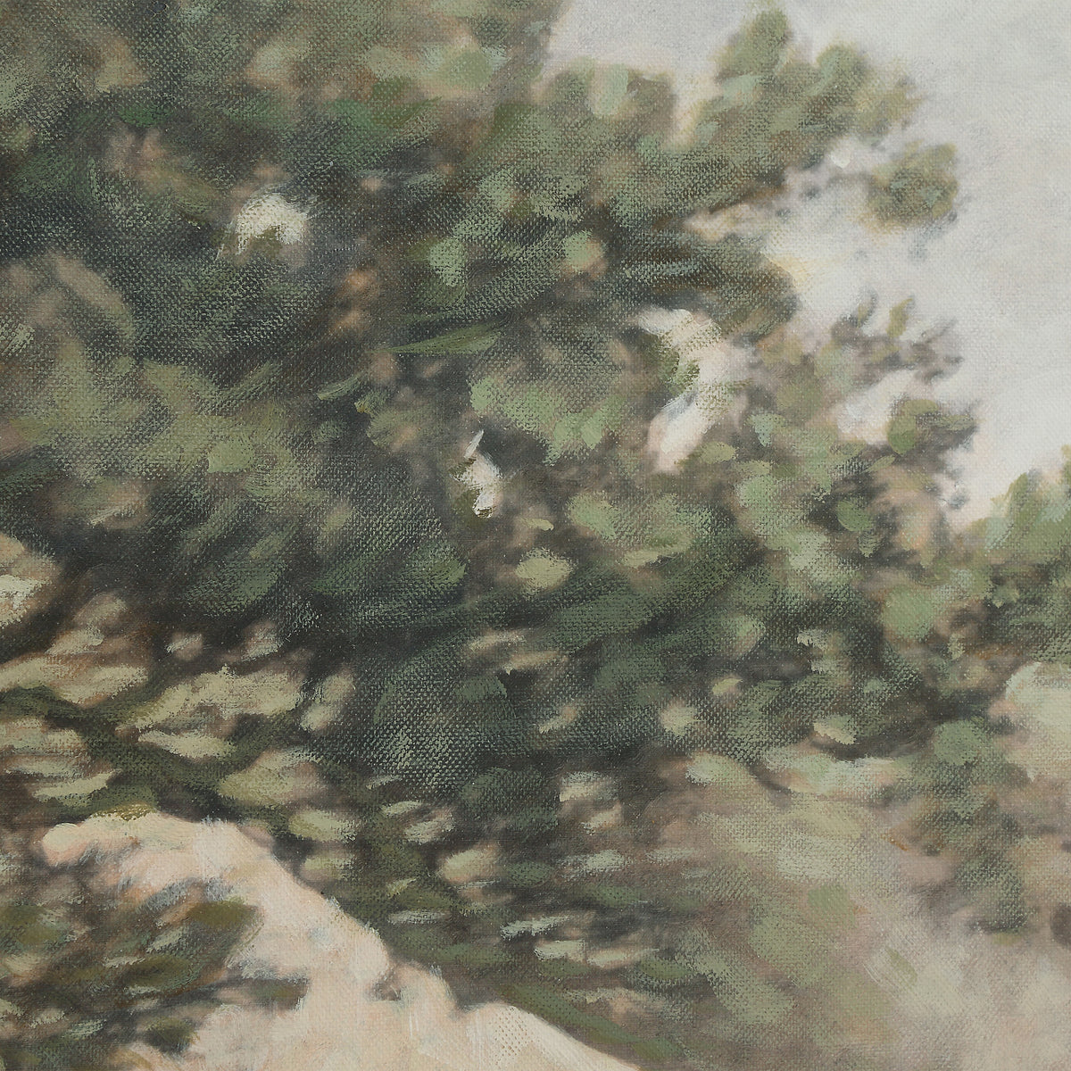 Primrose Canvas Art-5