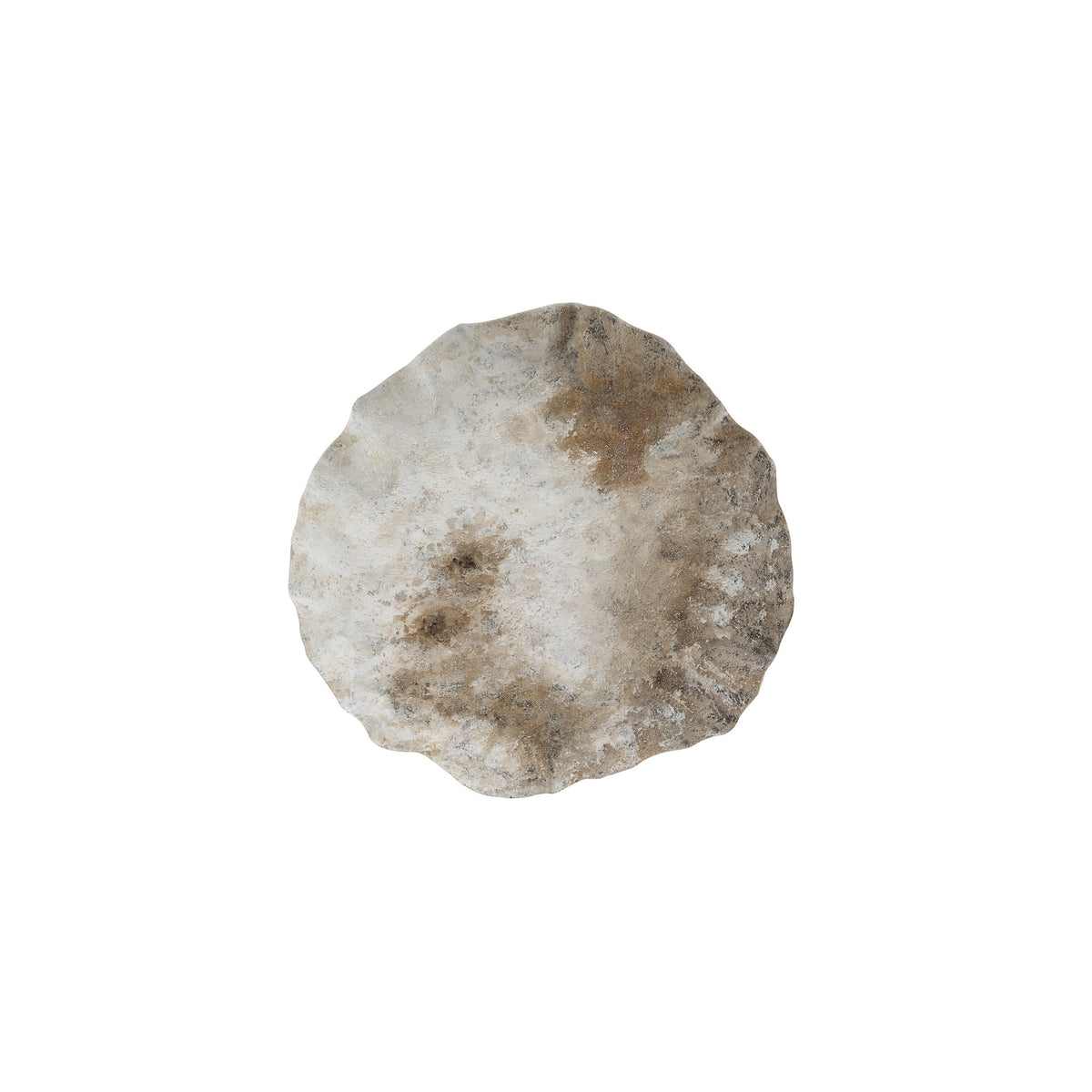 Zinnia Wall Art-5