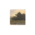 Cove Framed Painting-6