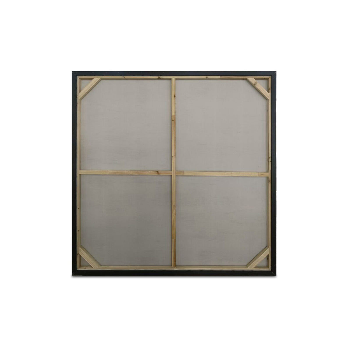 Sonora Framed Painting-4