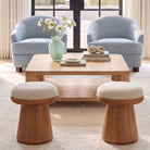Clara Accent Chair-16