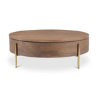 Alana Storage Coffee Table-1