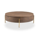 Alana Storage Coffee Table-3
