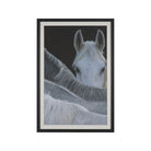 Look FramedPhoto-1
