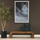 Look FramedPhoto-2