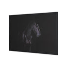 Majestic Midnight Framed Photo-5