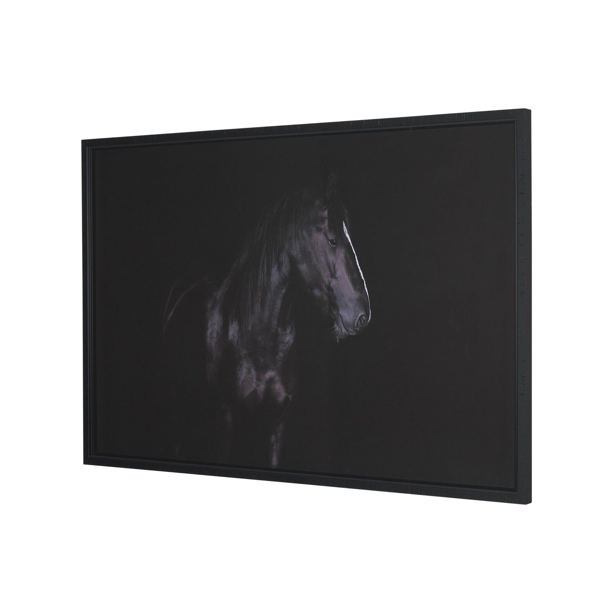 Majestic Midnight Framed Photo-5