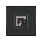 Steed 1 Framed Artwork-1