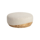 Mithuna Ottoman-2