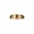 Wyllis 12 Flush Mount-2