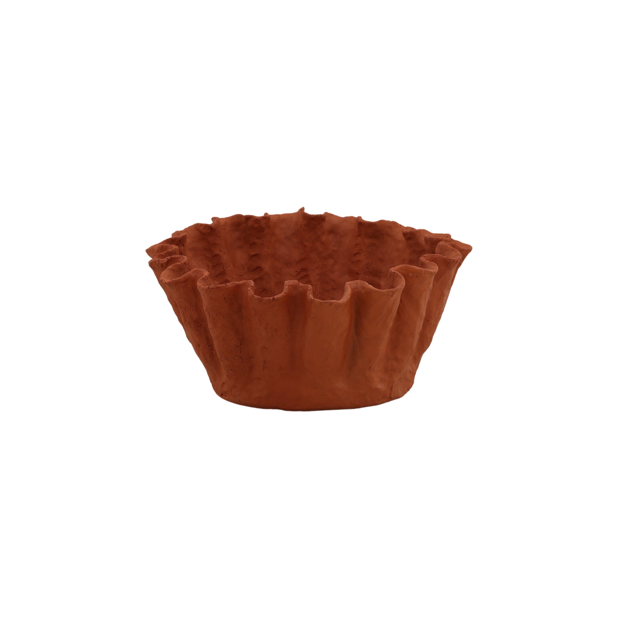 Sammy Bowl-2