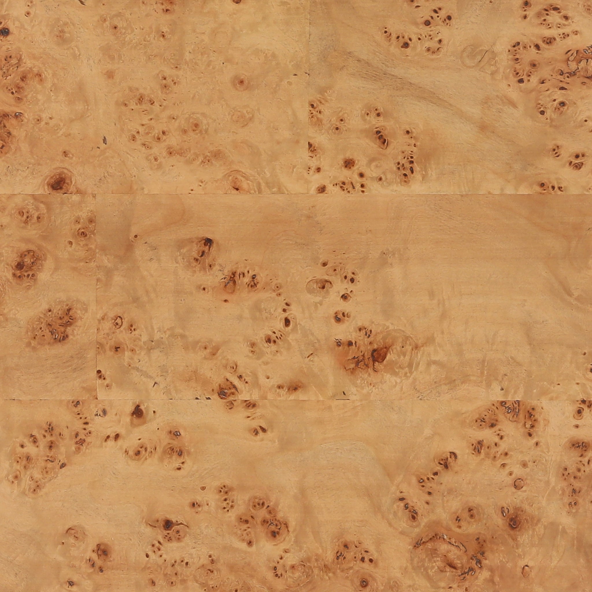 Faraday Burl Coffee Table-5