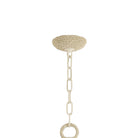 Pedrillo Chandelier by Corbett-9