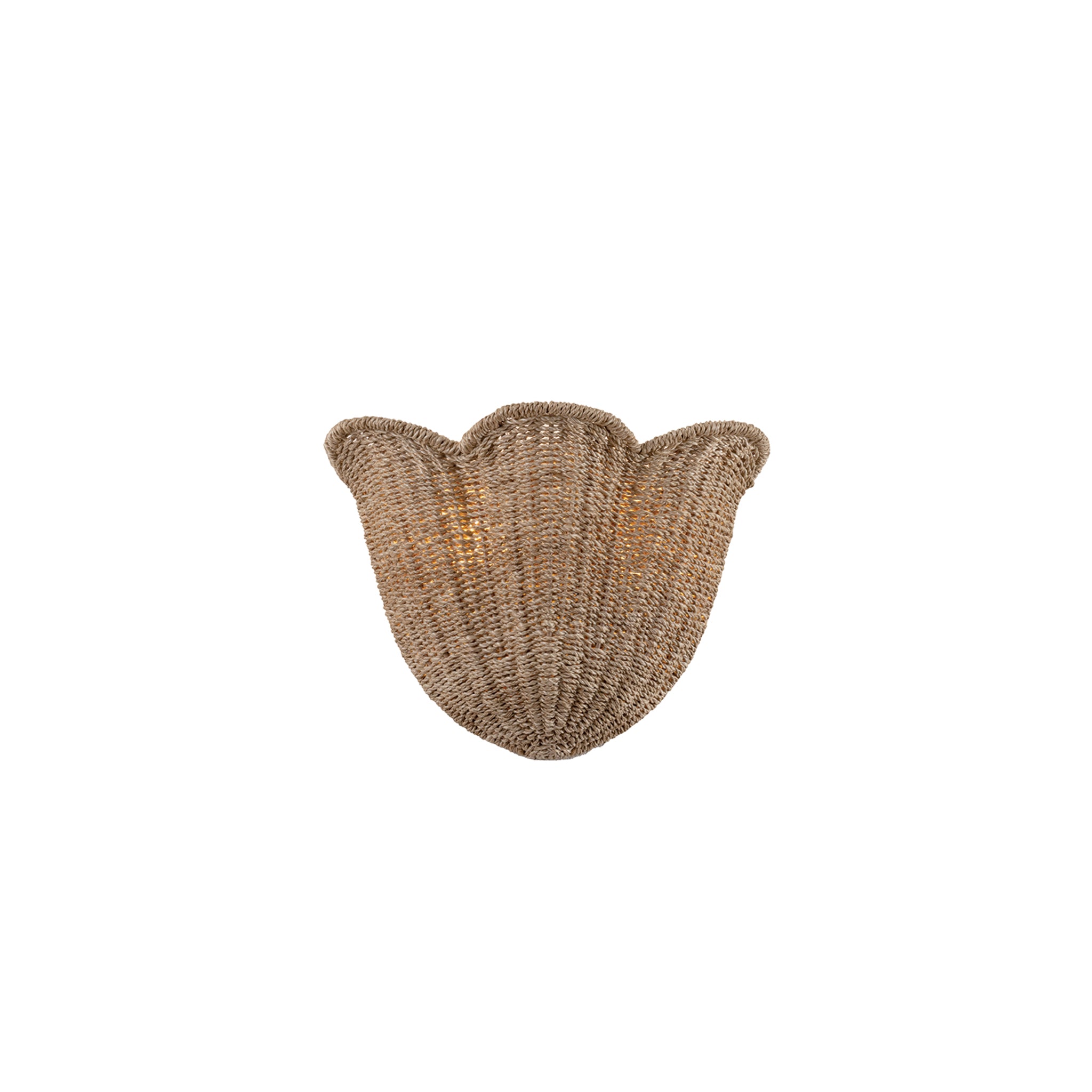 Ardonia Wall Sconce by Hudson Valley Lighting-1