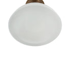 Bruceville Flush Mount by Hudson Valley Lighting-14
