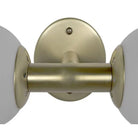 Antiope Sconce-6